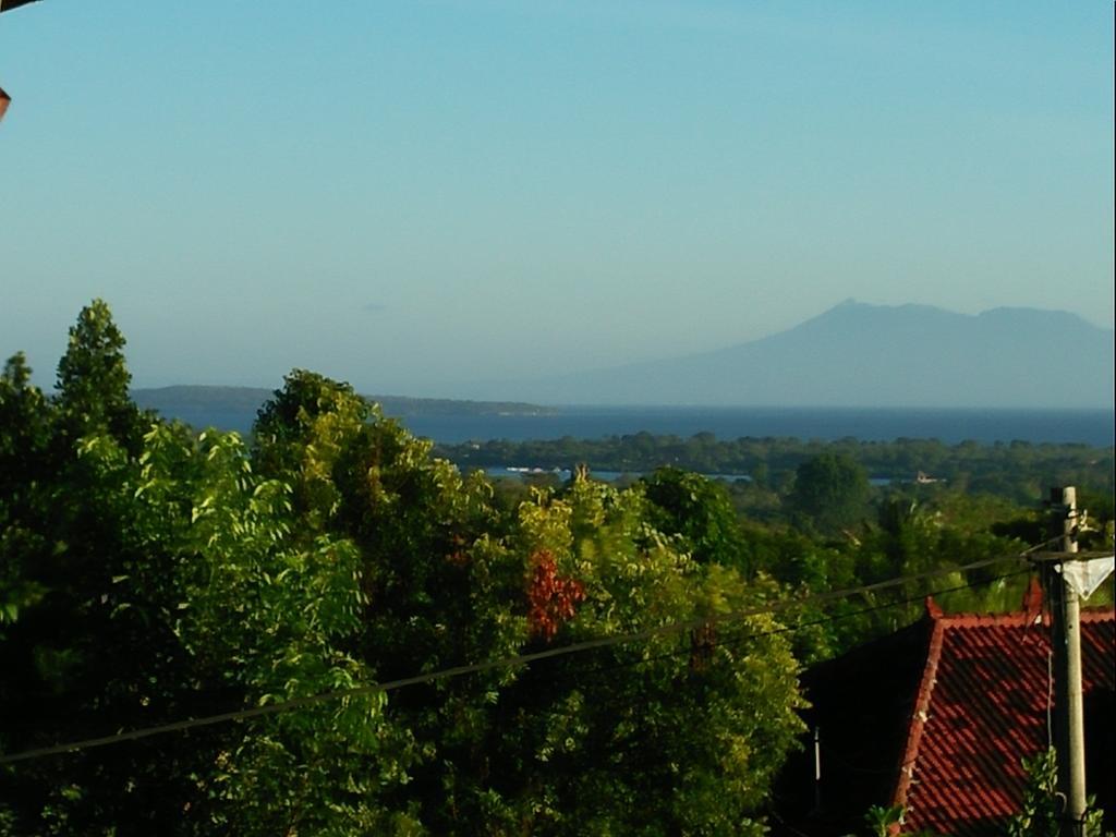 Menjangan View Bed and Breakfast Banyuwedang Buitenkant foto